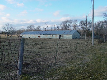 #294 Field with Barn