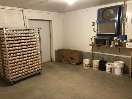 Poultry Stand with Dozens of Eggs